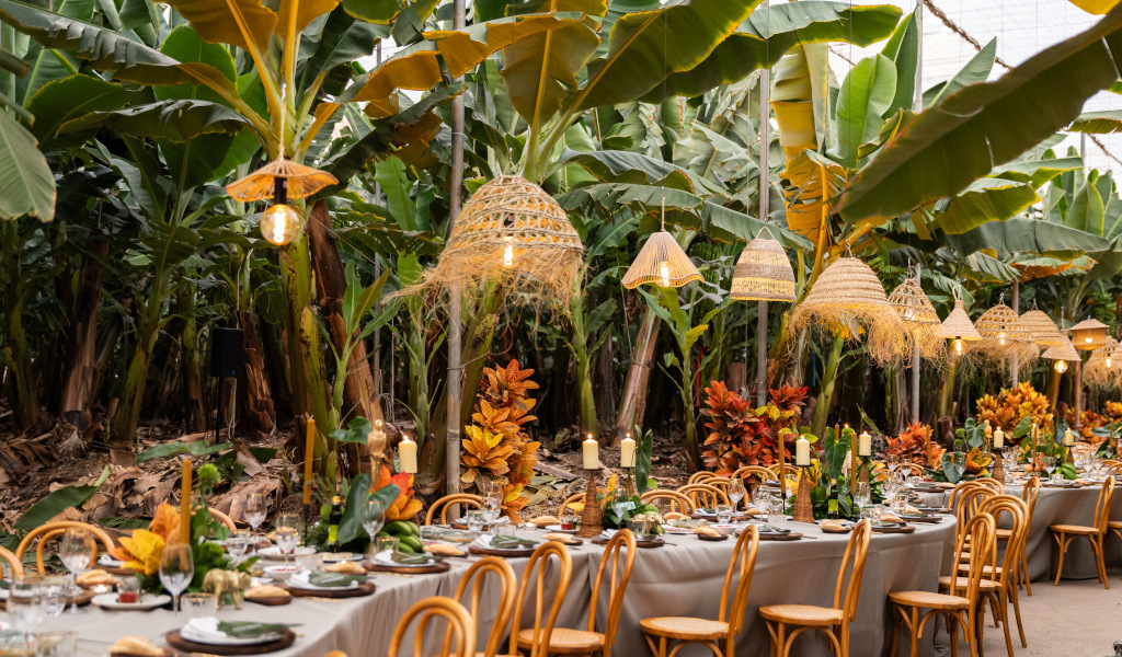 Long table decorated with chairs and hanging lamps among banana trees in Tenerife.