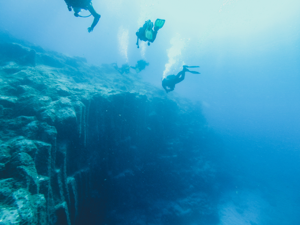 Divers exploring the seabed in Tenerife.