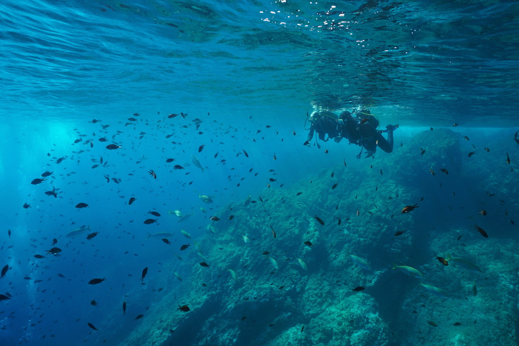 Divers among fish on an underwater reef in Tenerife.