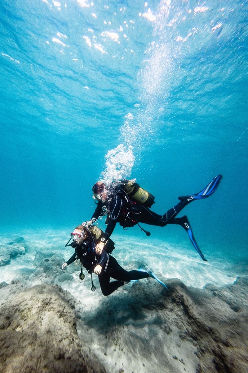 Divers exploring the seabed in Tenerife.