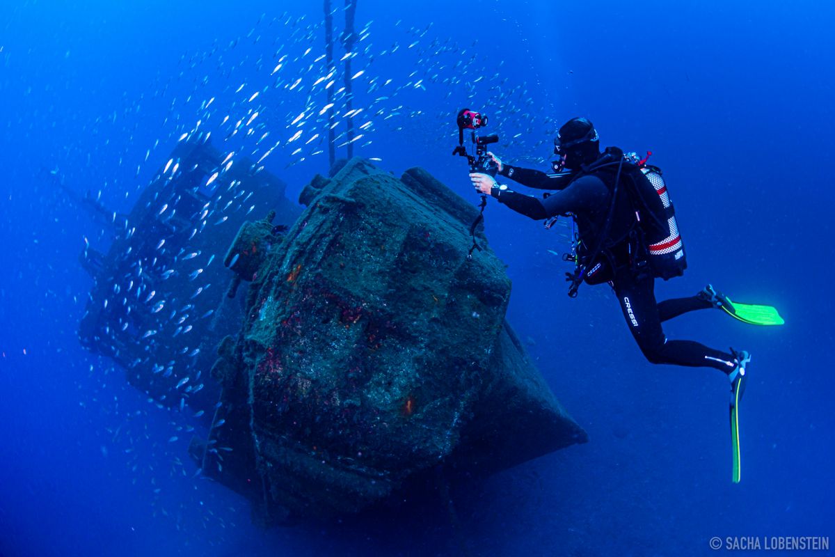 Diver exploring a shipwreck surrounded by fish in the waters of Tenerife.