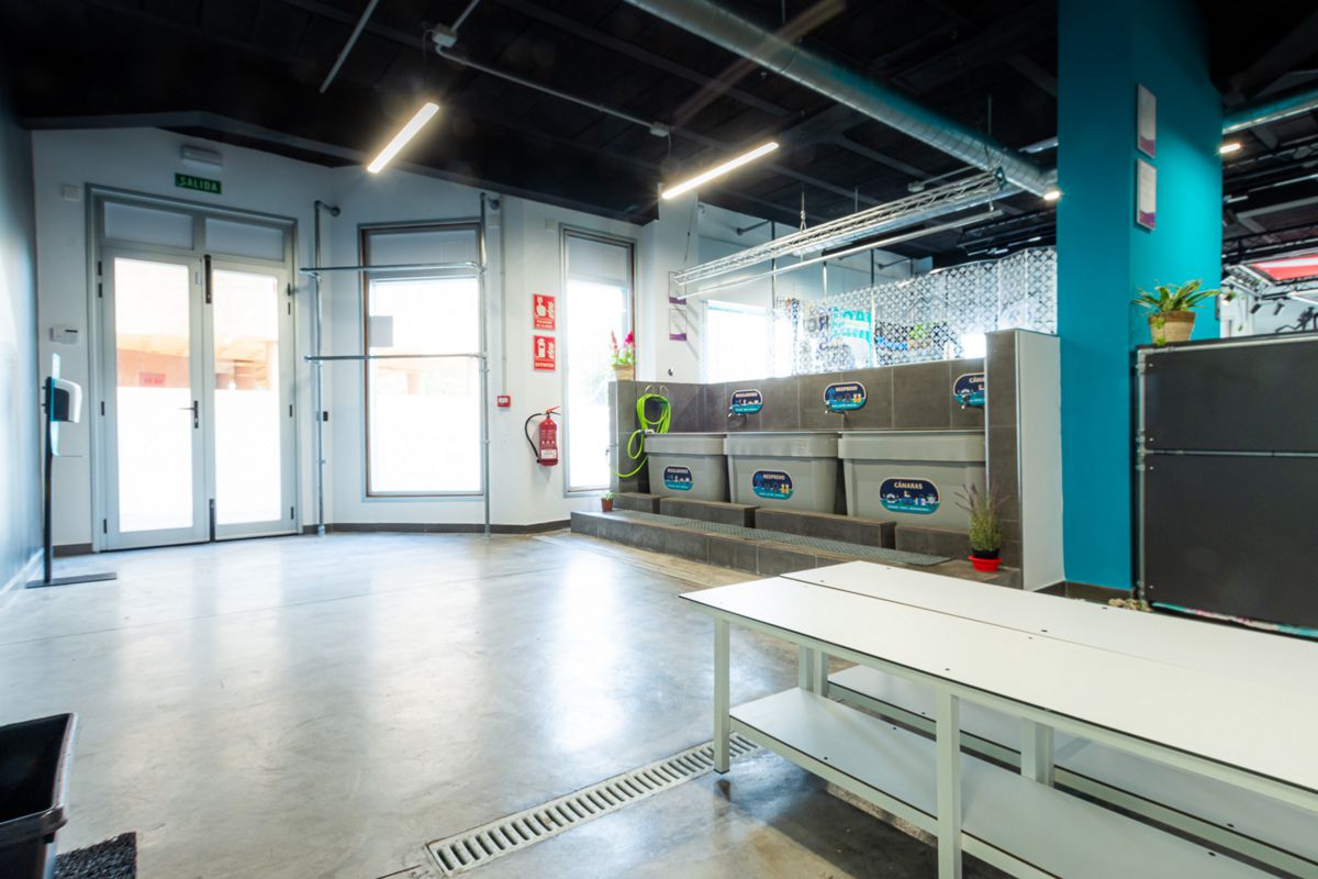 Entrance of pet washing shop in Tenerife with exit sign and containers.