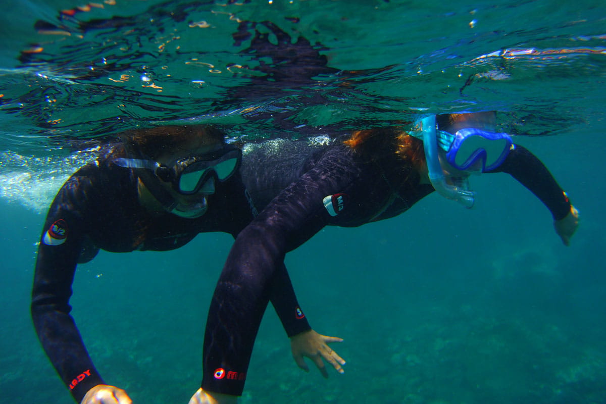 Two people snorkeling in the waters of Tenerife.