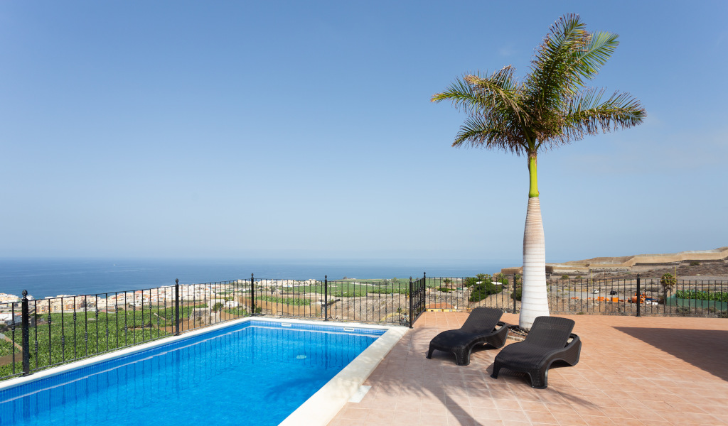 Swimming pool with sea views and sun loungers in Tenerife under a palm tree.