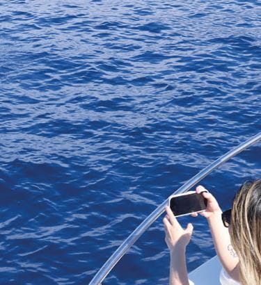 Atlantic Eco Experience