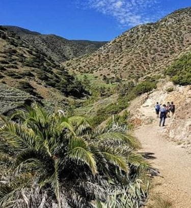Bicácaro Tenerife Adven-tour