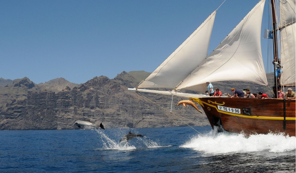 Sailing boat near the Cliffs of Los Gigantes in Tenerife with dolphins jumping.