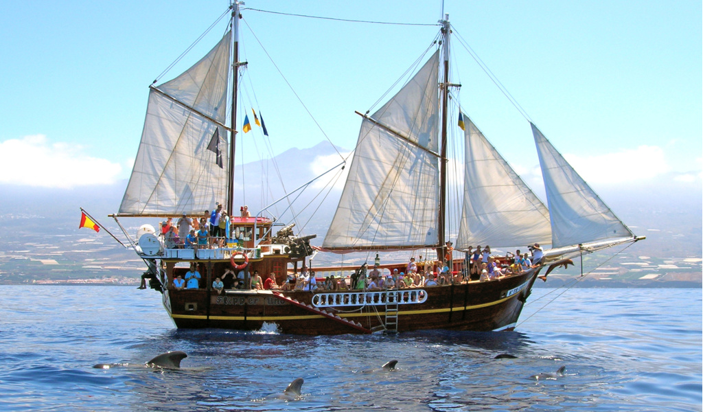 Tourist sailing boat at sea with dolphins in the waters of Tenerife.