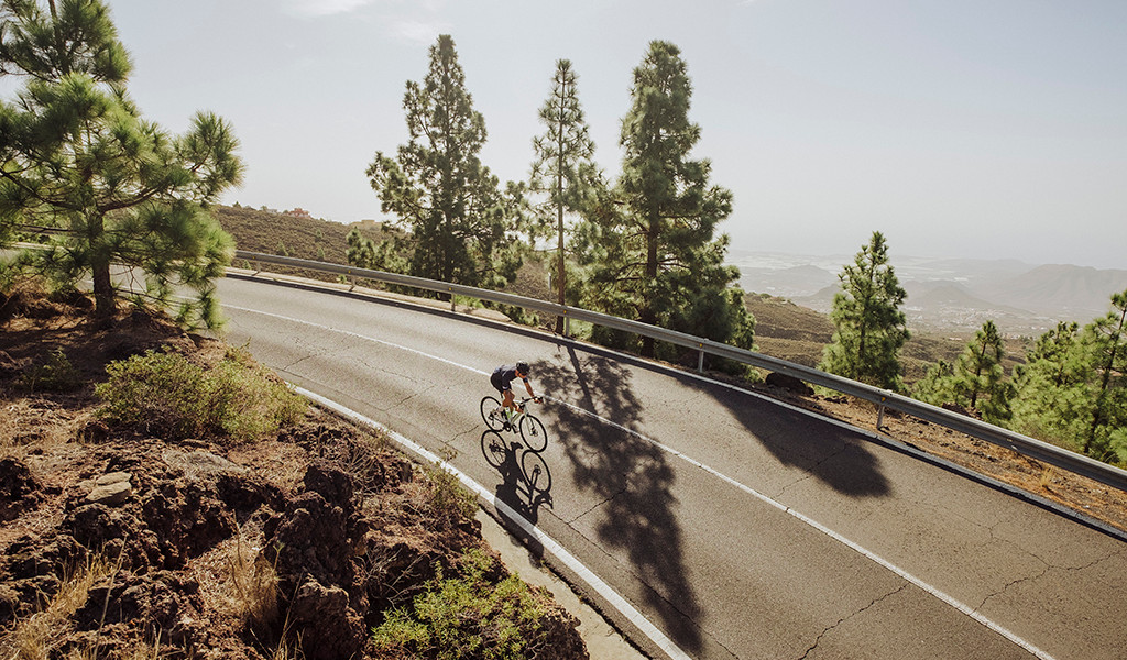 Cyclist descending road in Tenerife between pine trees and mountainous landscape.