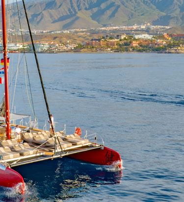 Freebird Catamarans