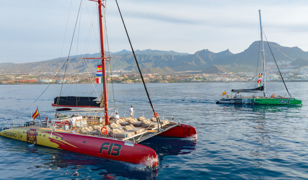 Two catamarans sailing off the coast of Tenerife, with mountains in the background.