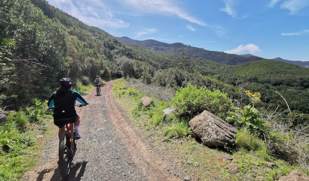 Cyclists on a mountainous path surrounded by greenery in Tenerife.