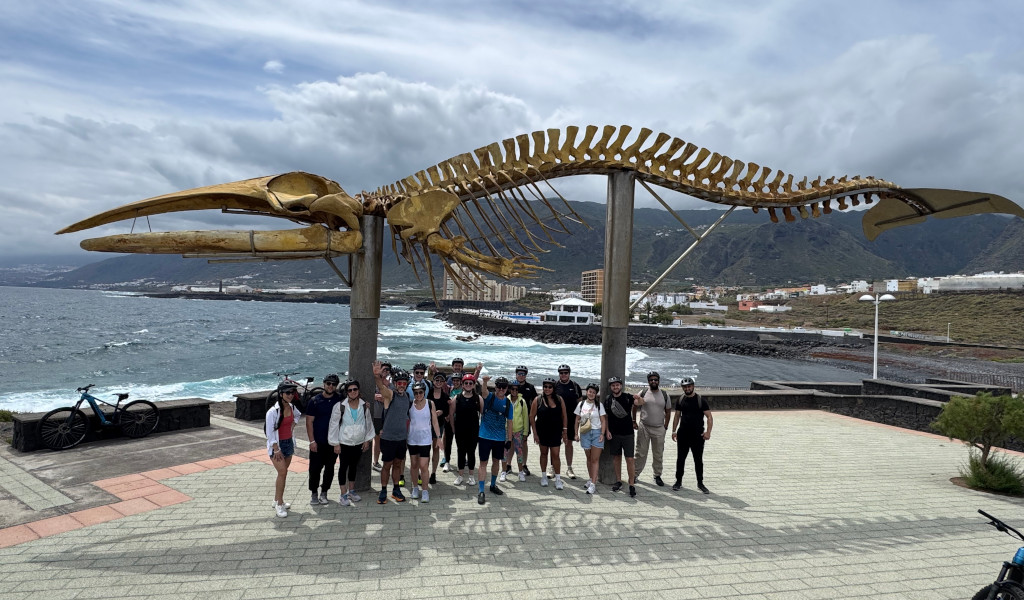 Group of people under a whale skeleton in Puerto de la Cruz, Tenerife.