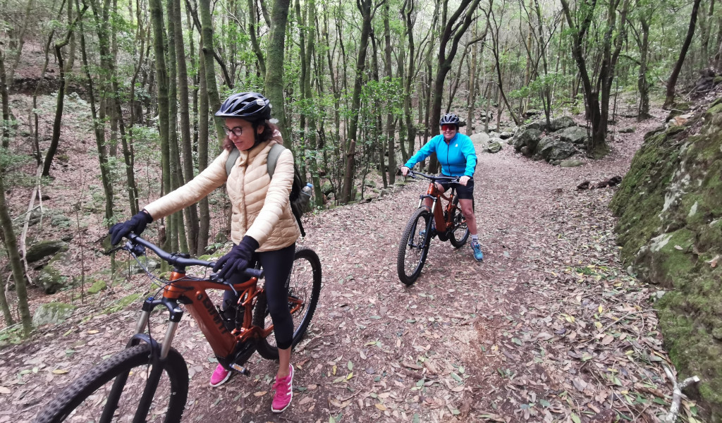 People on mountain biking on a wooded trail in Tenerife.