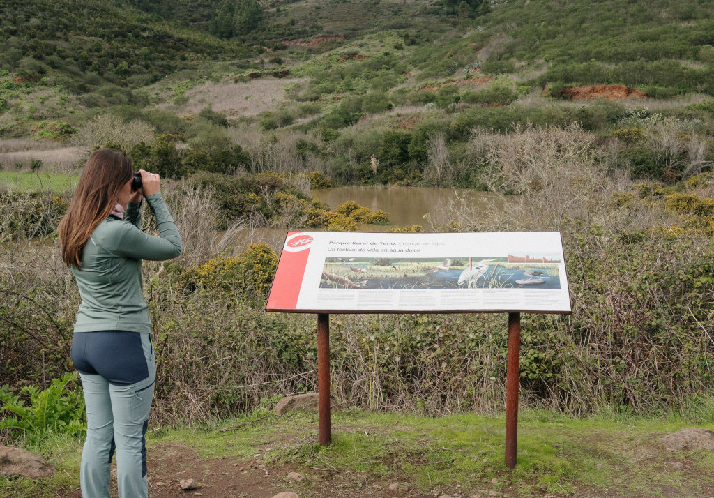 observacion aves