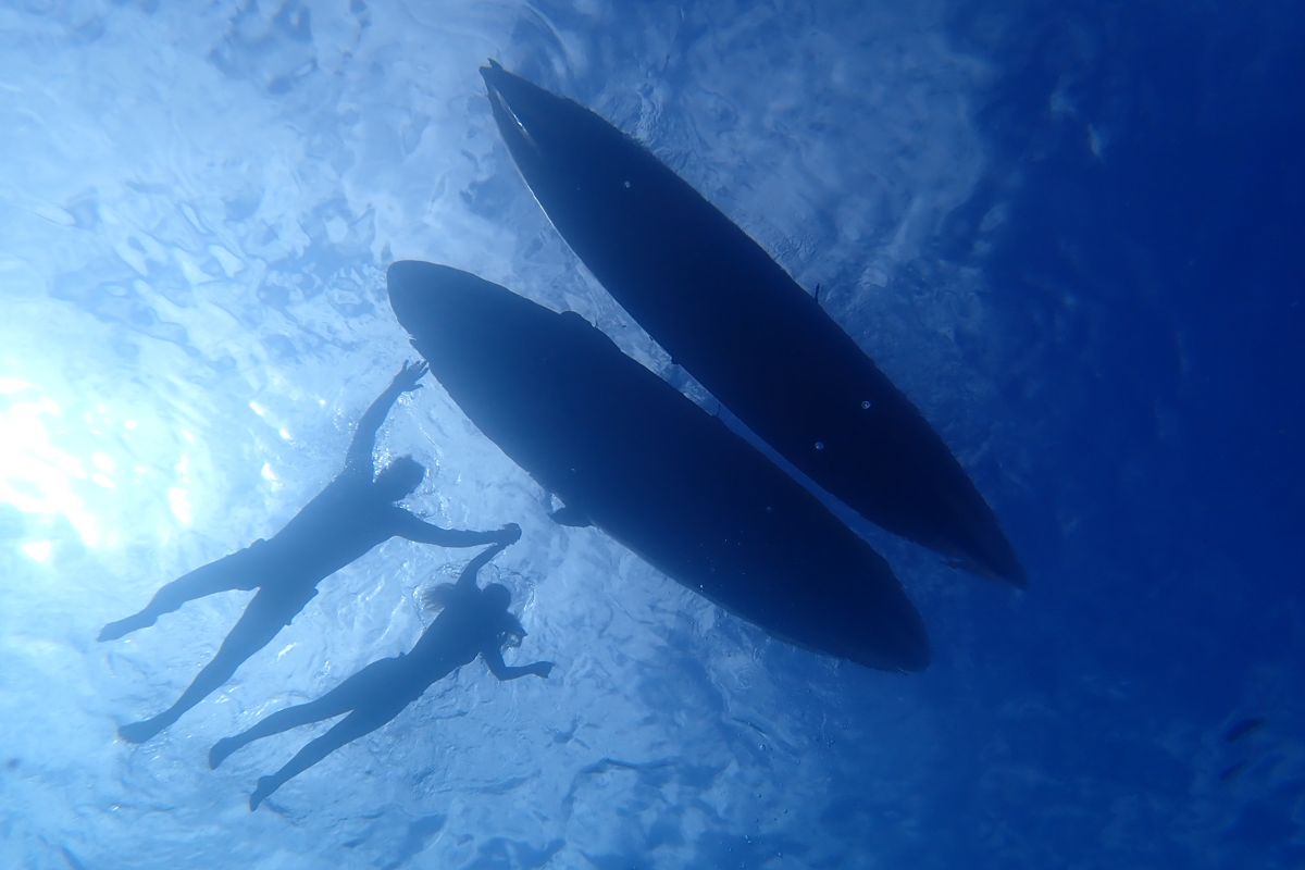 Two people swim underwater next to surfboards in Tenerife.