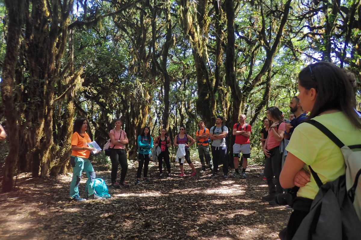 Group of people on a guided tour through a forest in Santa Cruz de Tenerife.