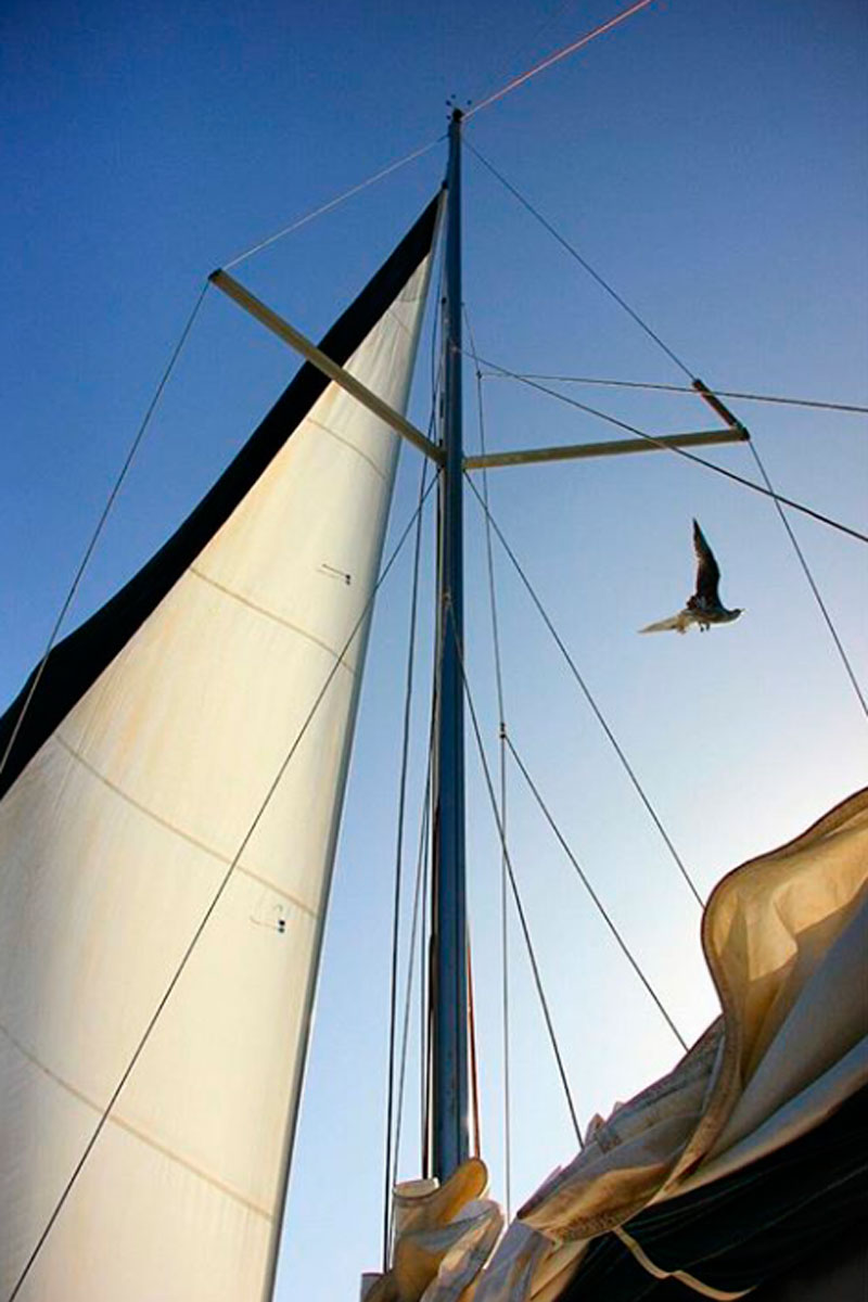 Boat and seagull sail over the sky in Tenerife.