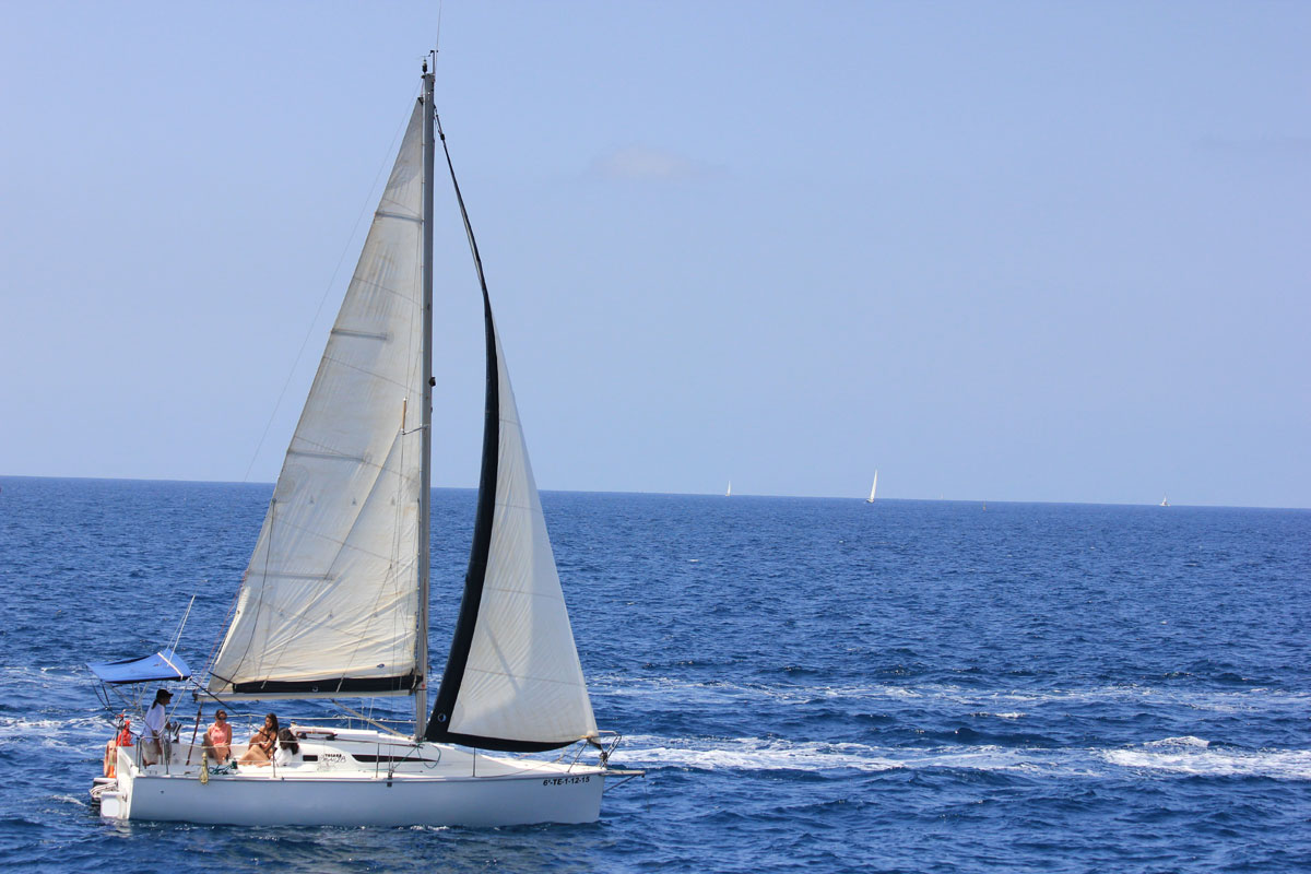 Sailboat sailing through the waters of Tenerife with clear skies.