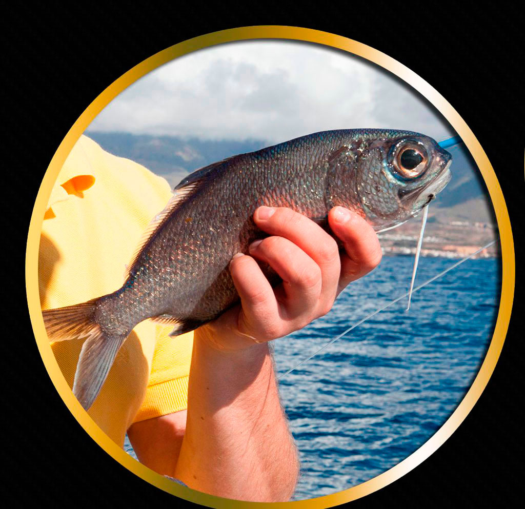 Fisherman holding a fish in front of the sea in Tenerife.