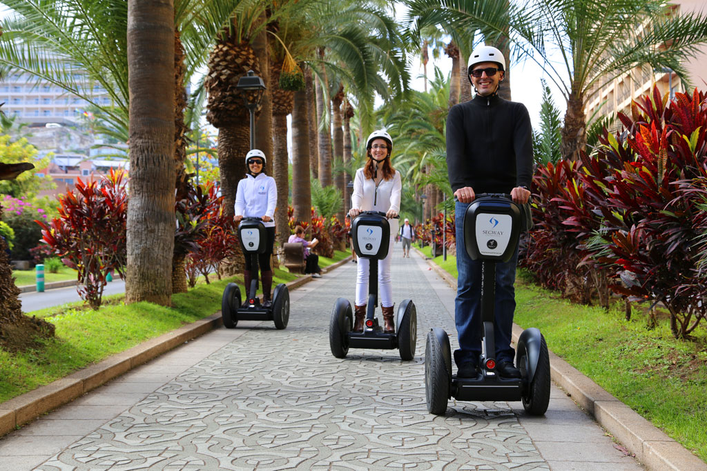 Three people on segways ride along a palm-lined avenue in Tenerife.
