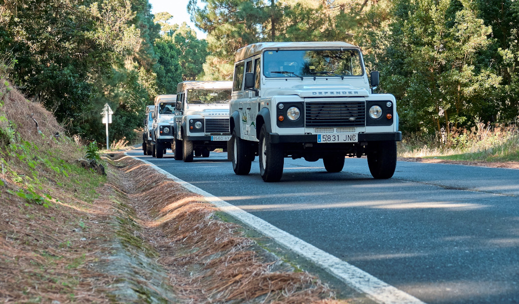 Three Land Rovers drive along a road surrounded by forest in Tenerife.