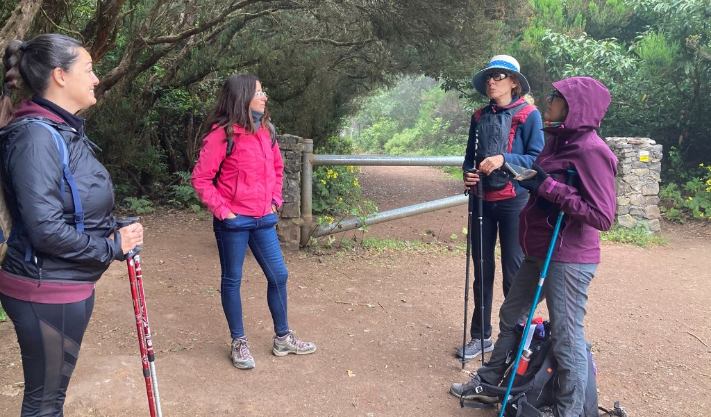 Hikers talking on a wooded path in Tenerife.