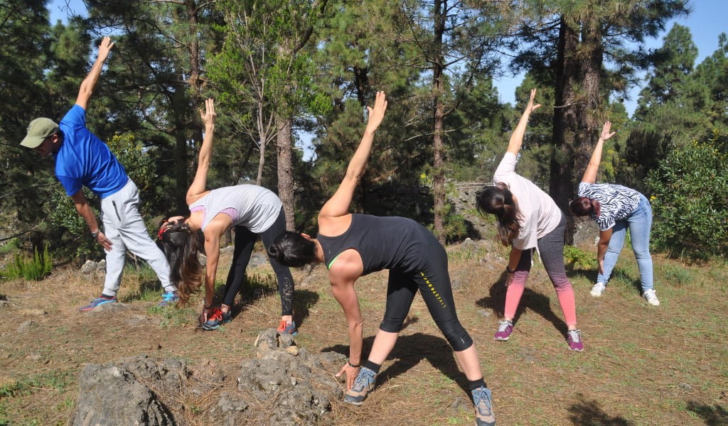 People performing stretching exercises in a forest in Tenerife.
