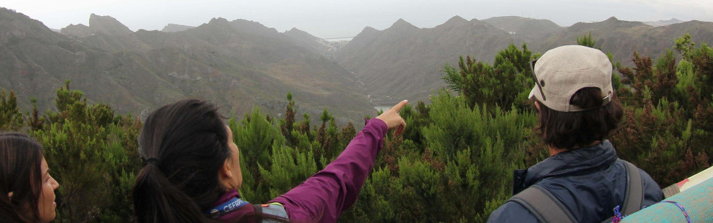 Explorers observe mountains and vegetation in Tenerife.