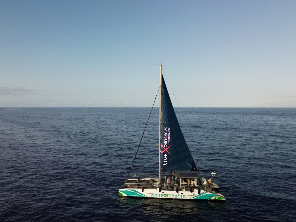 Barco