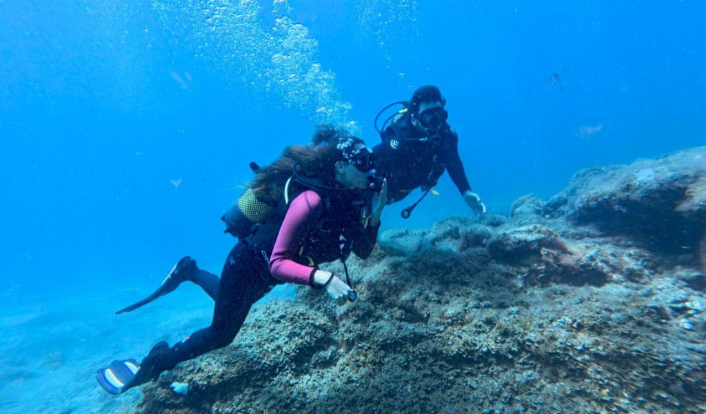 People diving next to a reef in Tenerife.