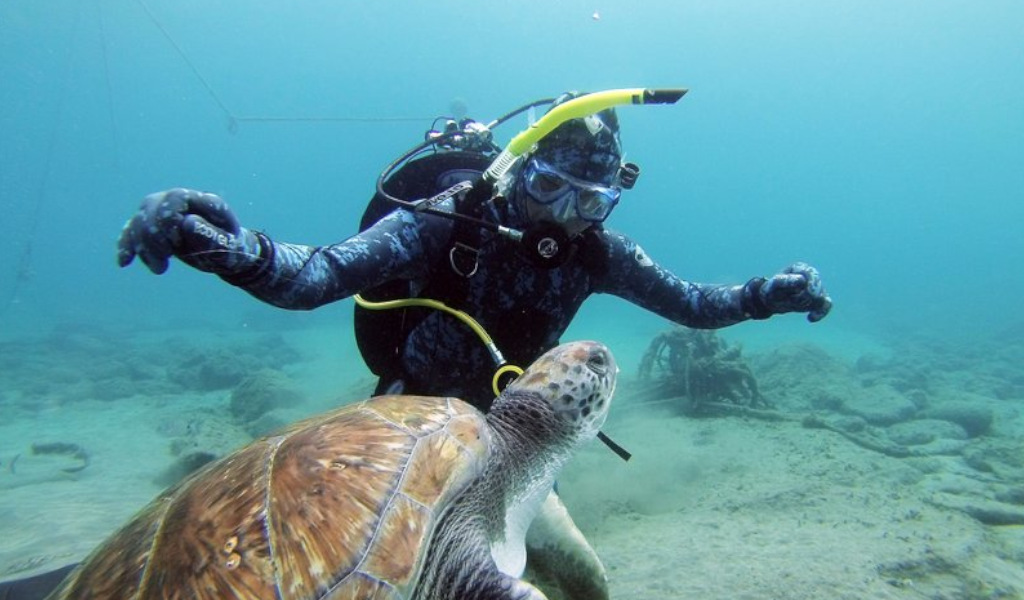 Diver swimming with a sea turtle in the waters of Tenerife.