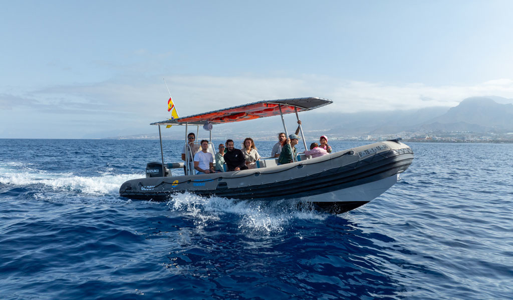 Group of people on inflatable boat sailing near the coast of Tenerife.