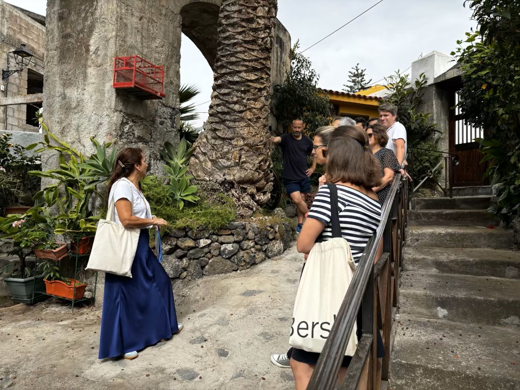 People talk and observe plants next to a palm tree in a garden in Tenerife.