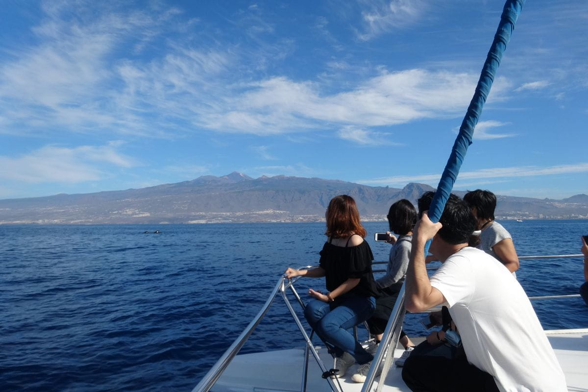 People watching the sea and mountains from a boat in Tenerife.