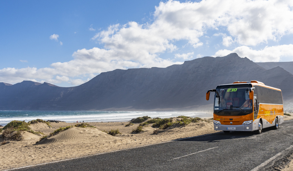Bus route 230 driving on a coastal road in Tenerife.