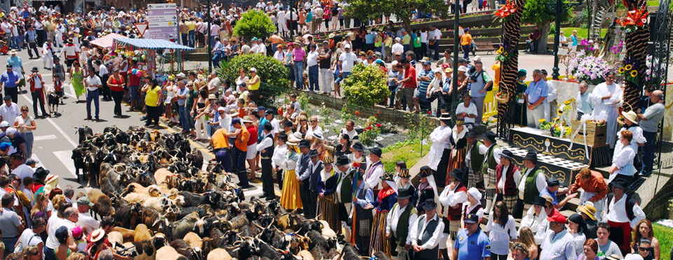 Romería de la Esperanza