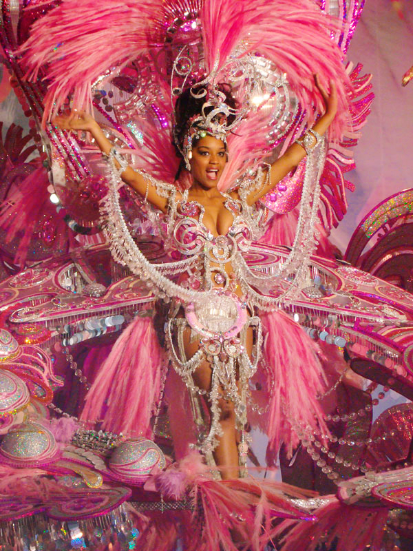 Person in pink costume and feathers at the Carnival of Santa Cruz de Tenerife.