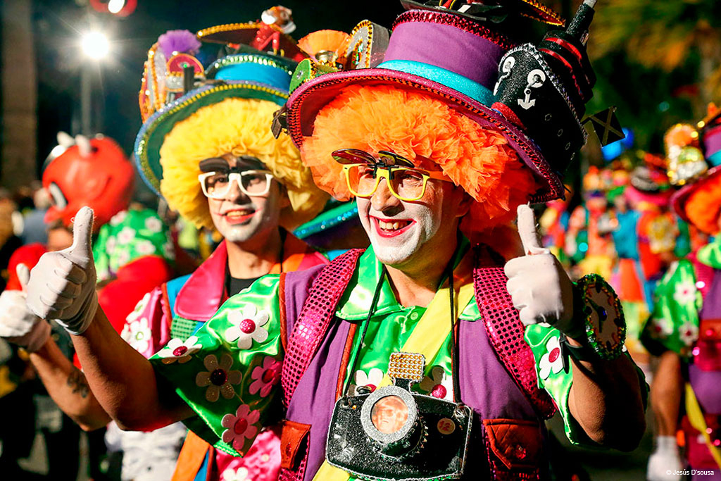 Person in colorful costume during carnival in Santa Cruz de Tenerife.