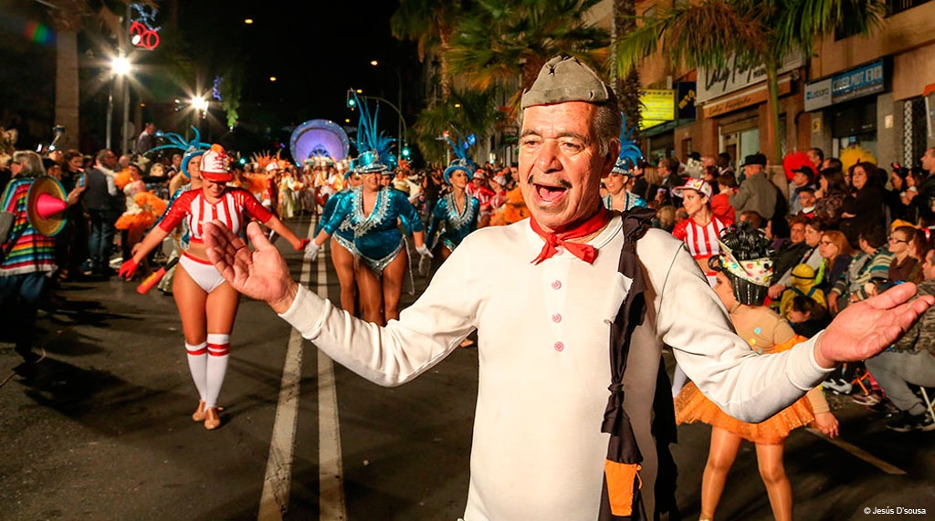 Carnival night parade in Santa Cruz de Tenerife with colorful costumes.
