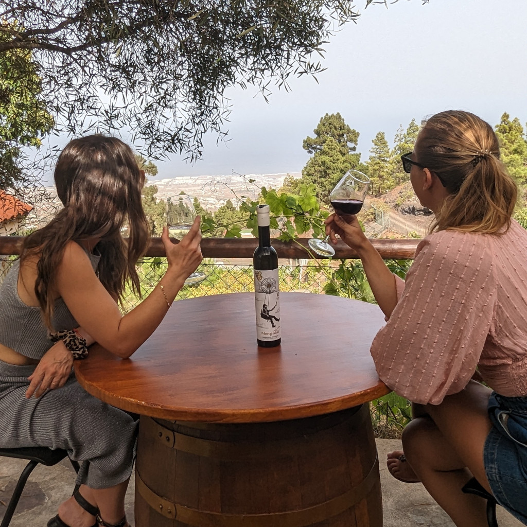 People enjoying wine with a view of La Laguna, Tenerife. Bottle on table.