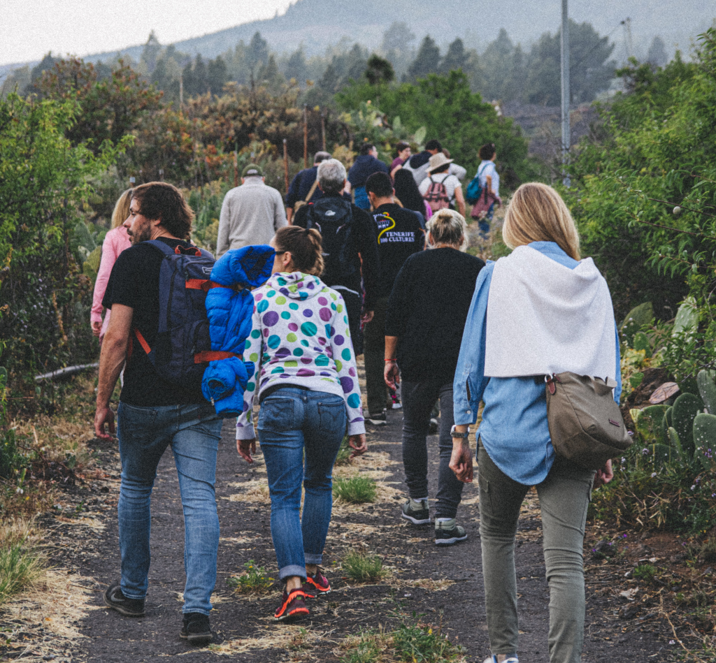People walking on a path surrounded by greenery in Tenerife.