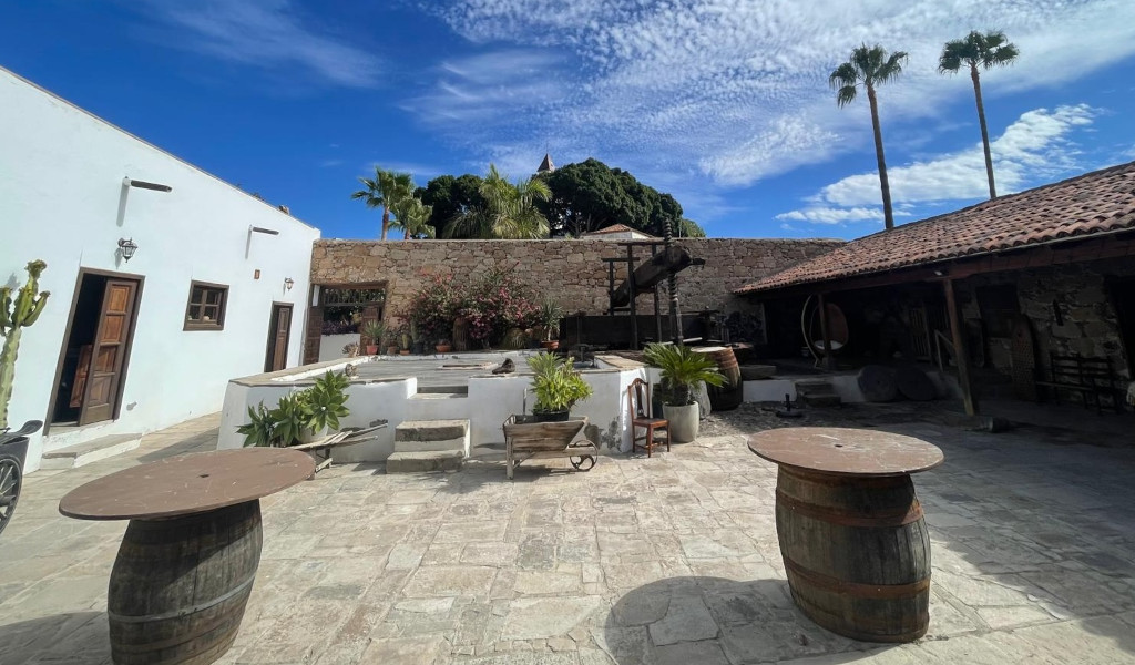 Traditional patio with barrels and plants in Icod de los Vinos, Tenerife.