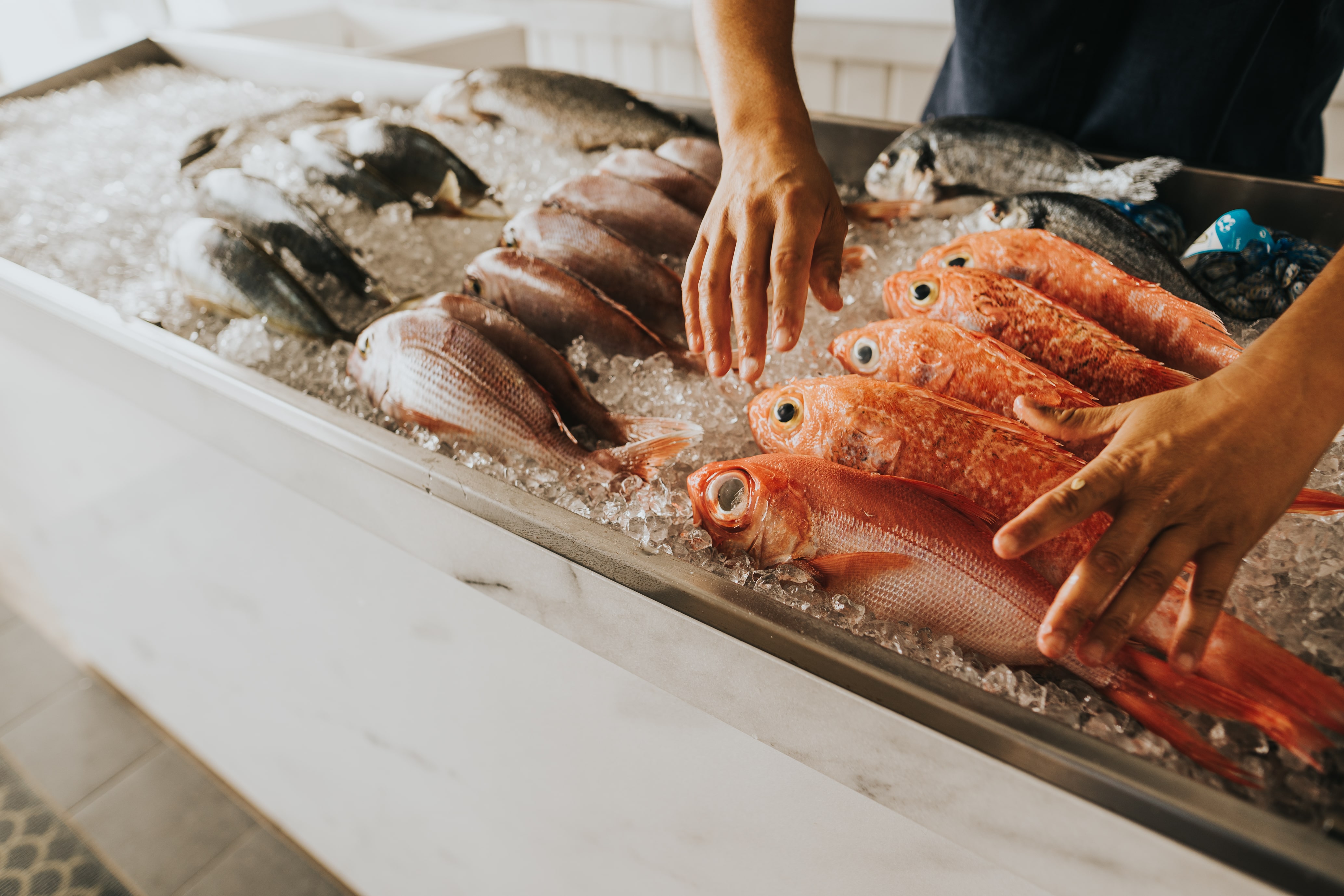 Fresh fish on ice in Tenerife market.