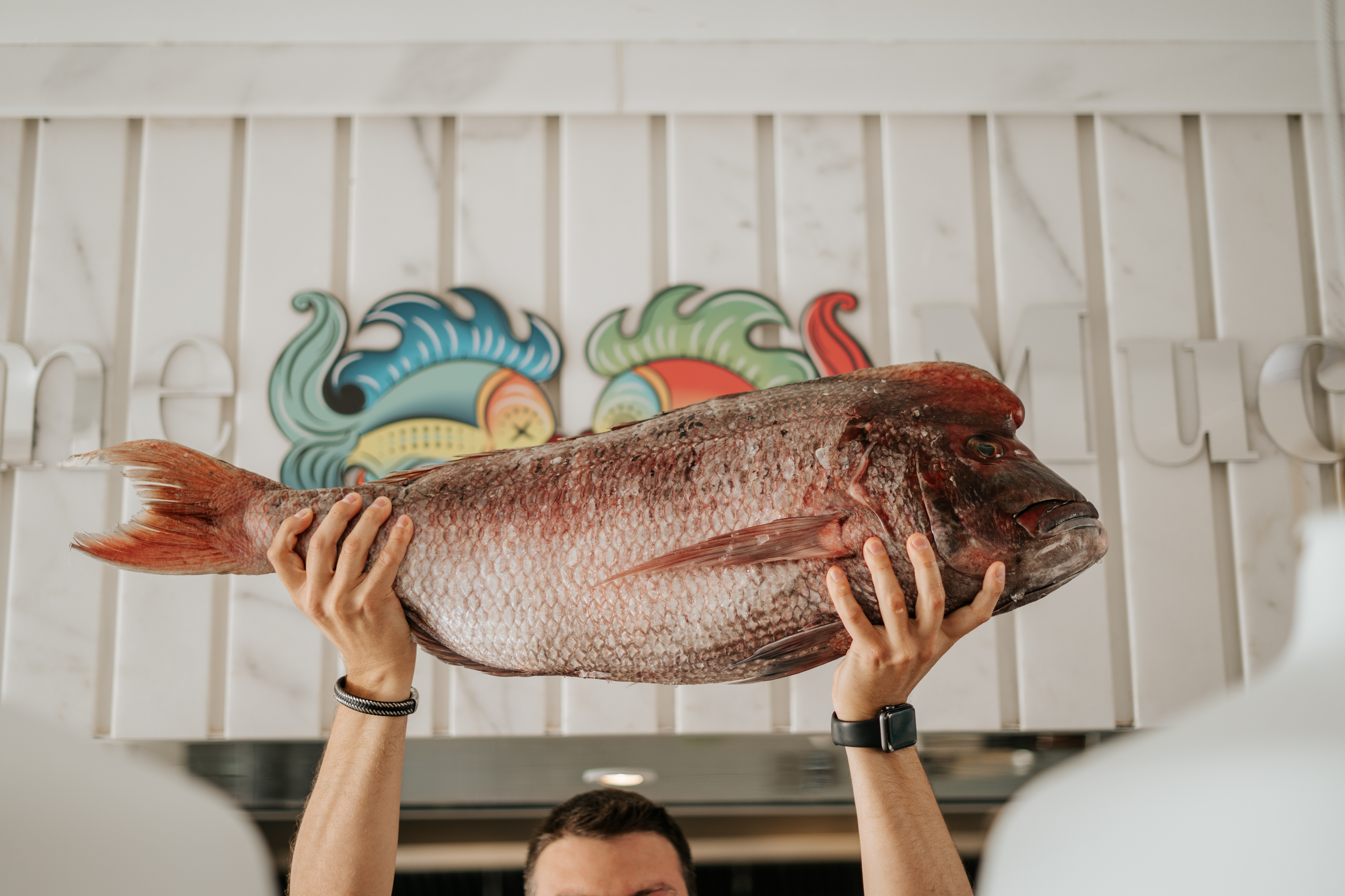 Large fish held aloft by a person, background decorated with colors.