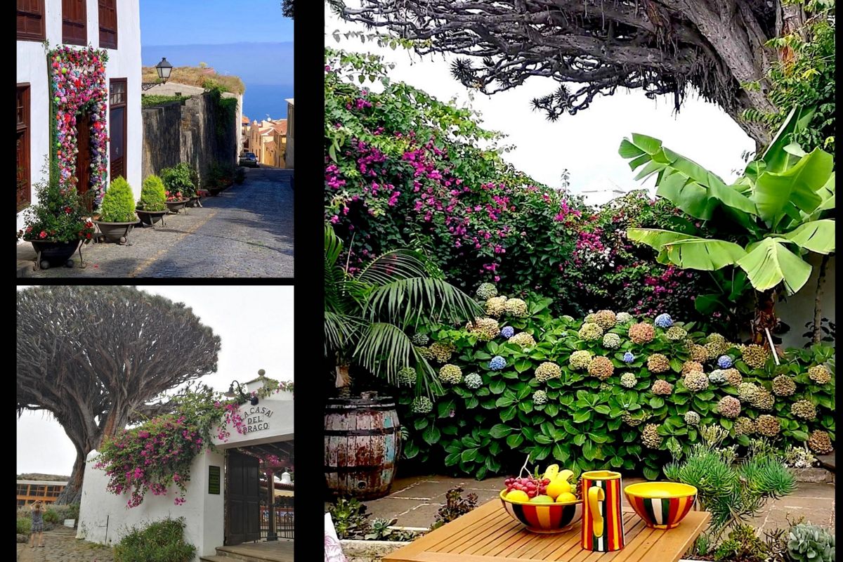 Cobbled street with flower pots and sea views in Tenerife. Shrubs and flowers in Tenerife garden. Entrance to Casa del Drago with iconic tree in Tenerife.