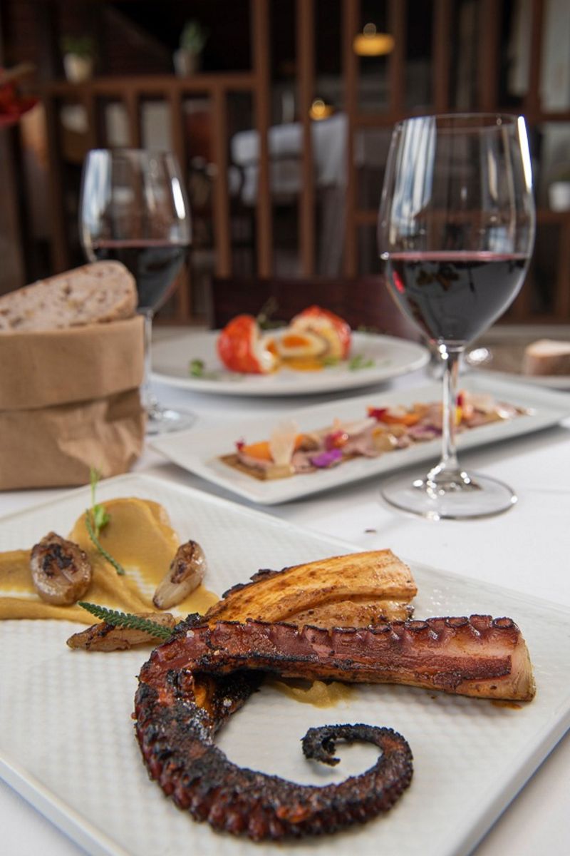 Roasted octopus with puree and mushrooms in a restaurant in Tenerife.