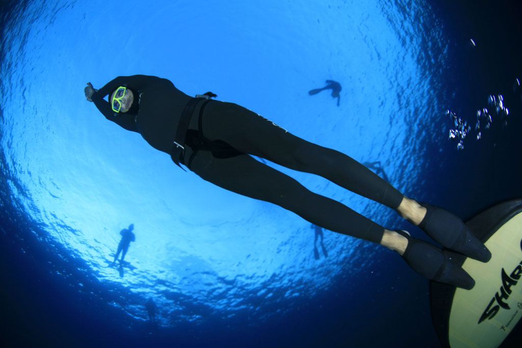 People practicing open water diving in Tenerife.