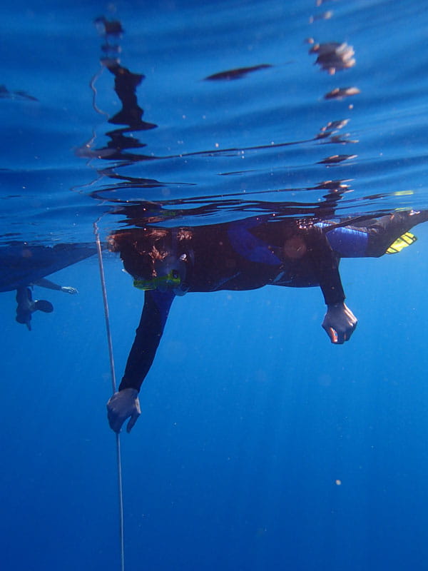 Person snorkeling in the ocean, possibly near Tenerife.
