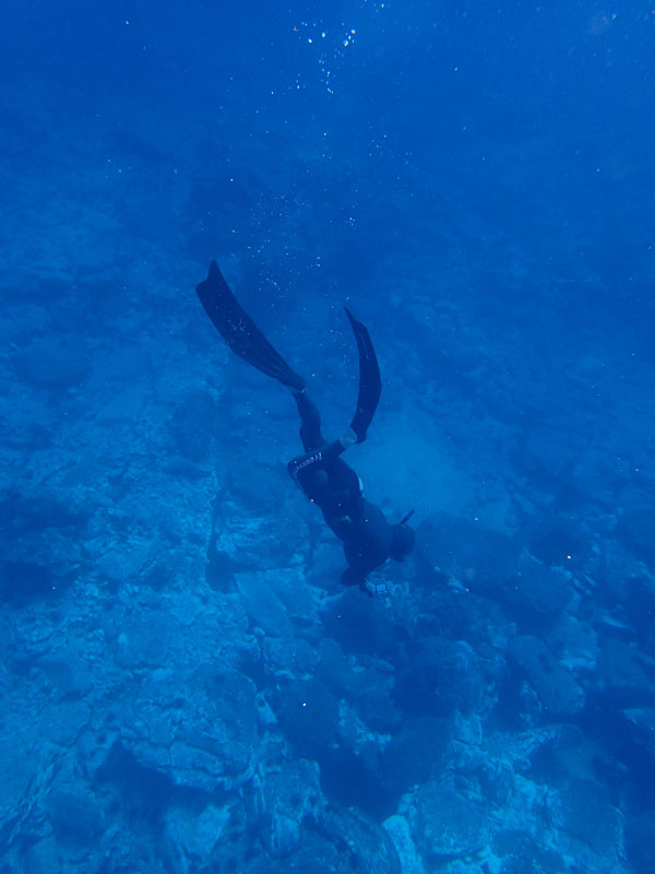 Diver exploring the seabed in Tenerife.